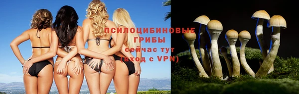COCAINE Богородицк