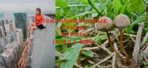 COCAINE Богородицк