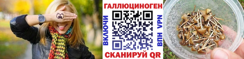 Псилоцибиновые грибы Psilocybe закладка Нефтеюганск